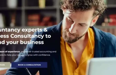Vertice Services Financial