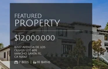 Renata Vicente Properties