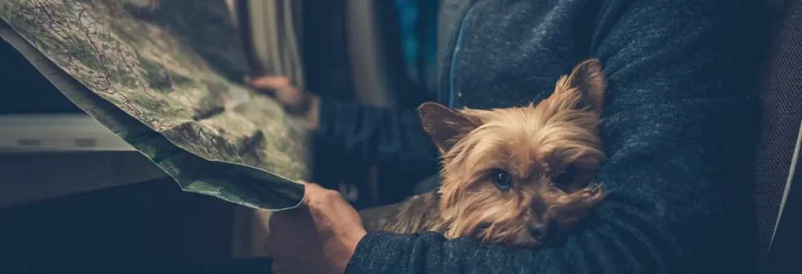 Airpets Brasil