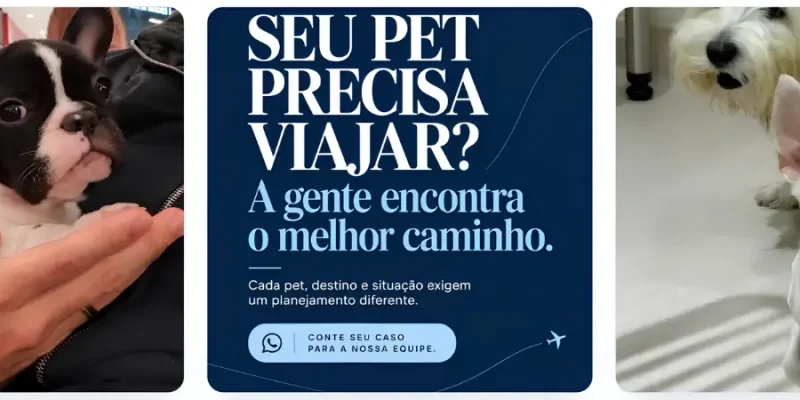 Seu Pet Voa